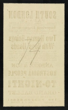 [Undated handbill (1874) for an exhibition of Andree & Son, or the Kostroma people : "Two human beings with dogs' heads" at the South London Palace. Printed on white paper].