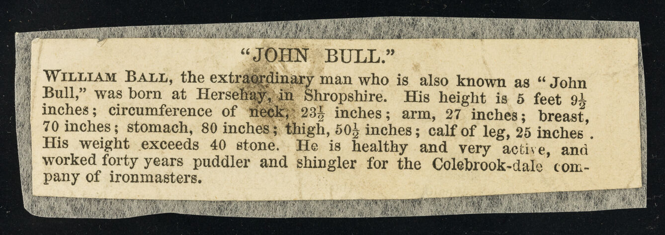[Newspaper cutting about a 40 stone man, William Ball, known as John Bull who worked for the Colebrook-dale company of ironmasters. ].
