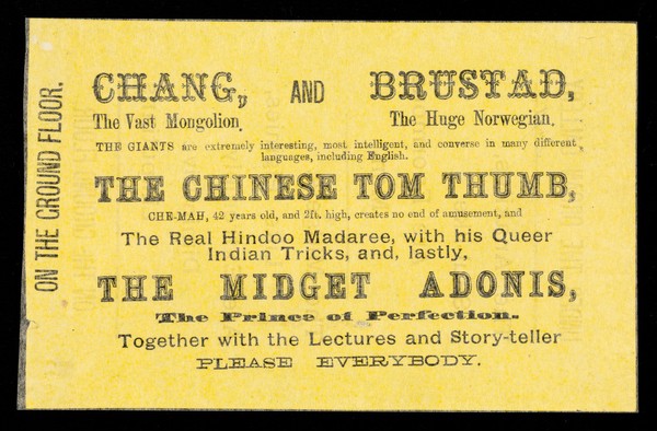 [Undated handbill (August 1880?) advertising appearances at the Royal Aquarium, London by Chang, the vast Mongolian, accompanied by Henrik Brustad, the huge Norwegian, the Chinese Tom Thumb, the midget Adonis, the Anakites (giants) and midgets. Printed on yellow paper].