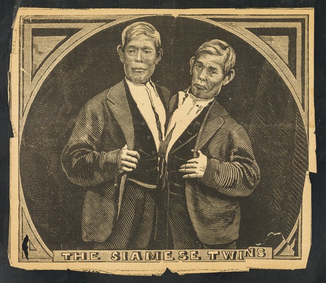 digitised image 1