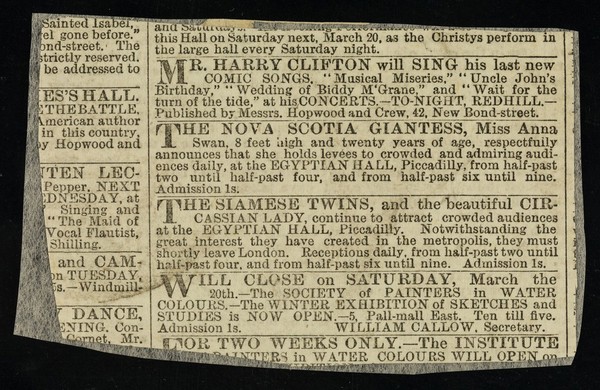 [Undated newspaper cutting (March 1869) advertising The Nova Scotia Giantess, Anna Swan, the Siamese twins and the Circassian Lady at the Egyptian Hall, Piccadilly, London].