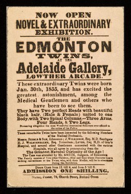 [Handbill advertising The Edmonton twins: conjoined twins on exhibition at the Adelaide Gallery in the Lowther Arcade, London. The twins were born on 30 January 1855].