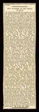 [Newspaper cutting titled: New wonders at the Royal Aquarium (November 1881?) in Mr. Farini's (William Hunt) Gallery. These are Captain Georges Costentenus and the Leopard Boy].