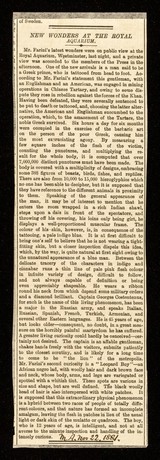 [Newspaper cutting titled: New wonders at the Royal Aquarium (November 1881?) in Mr. Farini's (William Hunt) Gallery. These are Captain Georges Costentenus and the Leopard Boy].