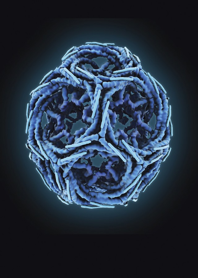 No text description is available for this image