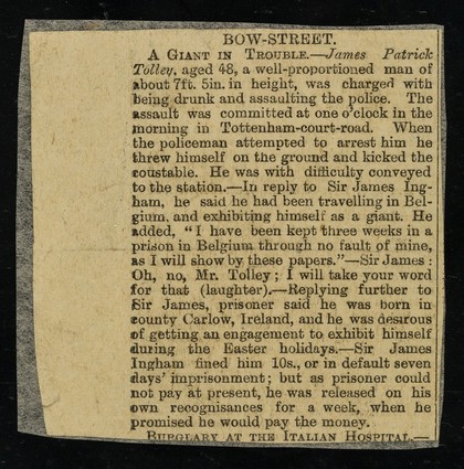 [Newspaper cutting (October 1887?) "Bow Street : a giant in trouble" about 7' 5" James Patrick Folly's arrest and trial for drunken assault on a police officer in Tottenham Court Road].