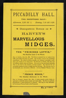 [Undated yellow handbill (London, December 1884?) advertising an appearance by Harvey's Midges: Princess Lottie, Prince Midge, Miss Jennie Worgen, General Tot and Mlle. Lottie Adelina de Lara,  child pianist, at the Piccadilly Hall, London].