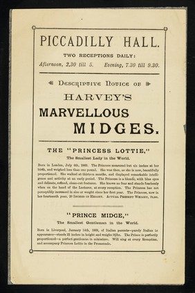 [Undated white handbill (London, December 1884?) advertising an appearance by Harvey's Midges: Princess Lottie, Prince Midge, Miss Jennie Worgen, General Tot and Mlle. Lottie Adelina de Lara,  child pianist, at the Piccadilly Hall, London].