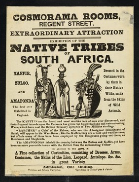 [Undated handbill (1850?) advertising "a display of African tribesmen in traditonal costumes at Cosmorama Rooms, Regent Street, London].