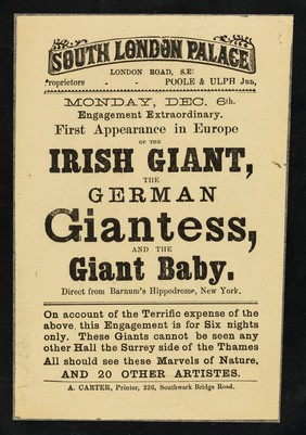 [Undated handbill advertising an exhibition of the Irish Giant, German Giantess and the Giant Baby at the South London Palace].