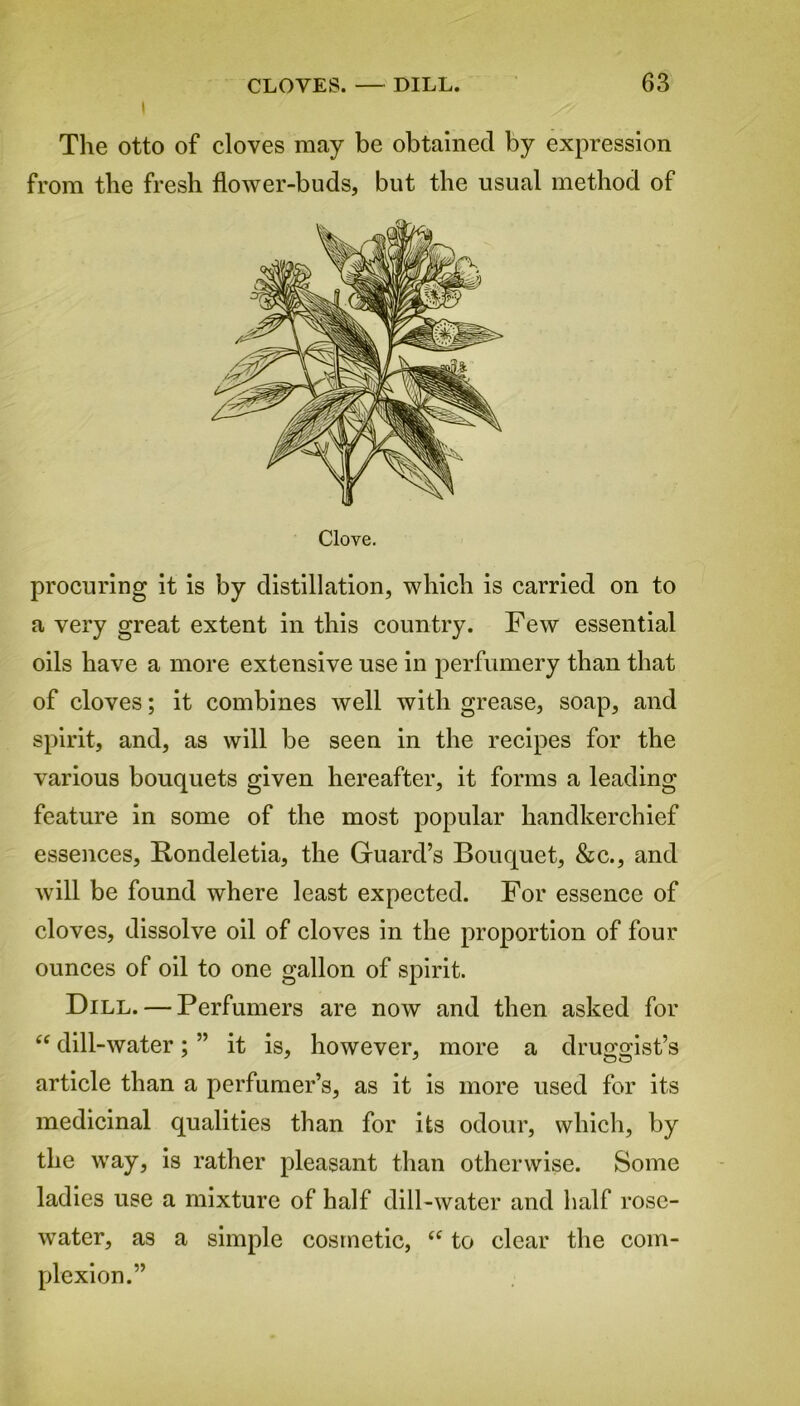 I The otto of cloves may be obtained by expression from the fresh flower-buds, but the usual method of Clove. procuring it is by distillation, which is carried on to a very great extent in this country. Few essential oils have a more extensive use in perfumery than that of cloves; it combines well with grease, soap, and spirit, and, as will be seen in the recipes for the various bouquets given hereafter, it forms a leading feature in some of the most popular handkerchief essences, ftondeletia, the Guard’s Bouquet, &c., and will be found where least expected. For essence of cloves, dissolve oil of cloves in the proportion of four ounces of oil to one gallon of spirit. Dill. — Perfumers are now and then asked for “ dill-water; ” it is, however, more a druggist’s article than a perfumer’s, as it is more used for its medicinal qualities than for its odour, which, by the way, is rather pleasant than otherwise. Some ladies use a mixture of half dill-water and half rose- water, as a simple cosmetic, “ to clear the com- plexion.”