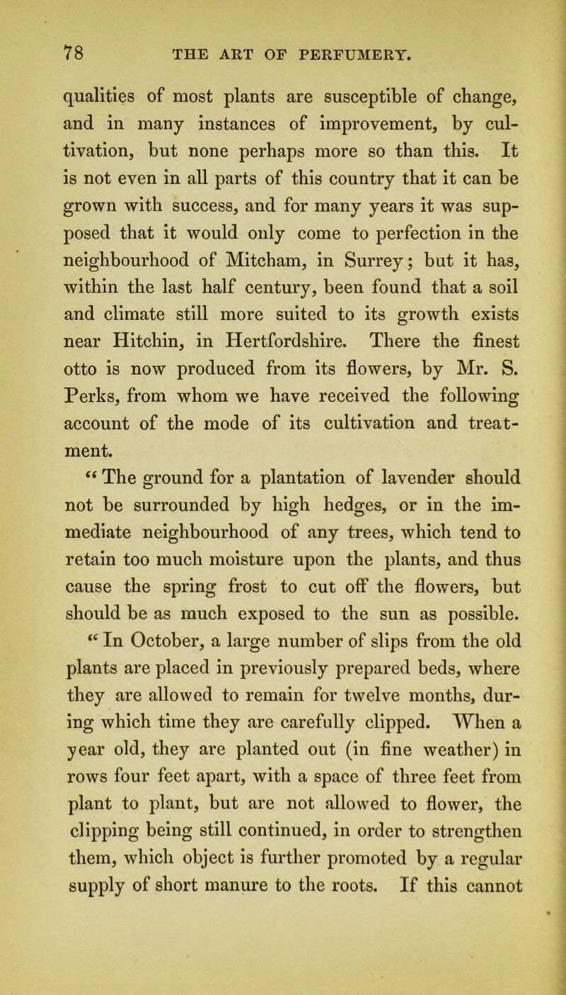 qualities of most plants are susceptible of change, and in many instances of improvement, by cul- tivation, but none perhaps more so than this. It is not even in all parts of this country that it can be grown with success, and for many years it was sup- posed that it would only come to perfection in the neighbourhood of Mitcham, in Surrey; but it has, within the last half century, been found that a soil and climate still more suited to its growth exists near Hitchin, in Hertfordshire. There the finest otto is now produced from its flowers, by Mr. S. Perks, from whom we have received the following account of the mode of its cultivation and treat- ment. “ The ground for a plantation of lavender should not be surrounded by high hedges, or in the im- mediate neighbourhood of any trees, which tend to retain too much moisture upon the plants, and thus cause the spring frost to cut off the flowers, but should be as much exposed to the sun as possible. “ In October, a large number of slips from the old plants are placed in previously prepared beds, where they are allowed to remain for twelve months, dur- ing which time they are carefully clipped. When a year old, they are planted out (in fine weather) in rows four feet apart, with a space of three feet from plant to plant, but are not allowed to flower, the clipping being still continued, in order to strengthen them, which object is further promoted by a regular supply of short manure to the roots. If this cannot