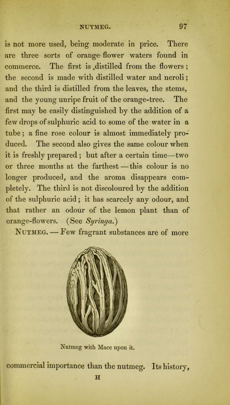 is not more used, being moderate in price. There are three sorts of orange-flower waters found in commerce. The first is .distilled from the flowers ; the second is made with distilled water and neroli; and the third is distilled from the leaves, the stems, and the young unripe fruit of the orange-tree. The first may be easily distinguished by the addition of a few drops of sulphuric acid to some of the water in a tube; a fine rose colour is almost immediately pro- duced. The second also gives the same colour when it is freshly prepared ; but after a certain time—two or three months at the farthest—this colour is no longer produced, and the aroma disappears com- pletely. The third is not discoloured by the addition of the sulphuric acid; it has scarcely any odour, and that rather an odour of the lemon plant than of orange-flowers. (See Syringa.) Nutmeg. — Few fragrant substances are of more Nutmeg with Mace upon it. commercial importance than the nutmeg. Its history, H