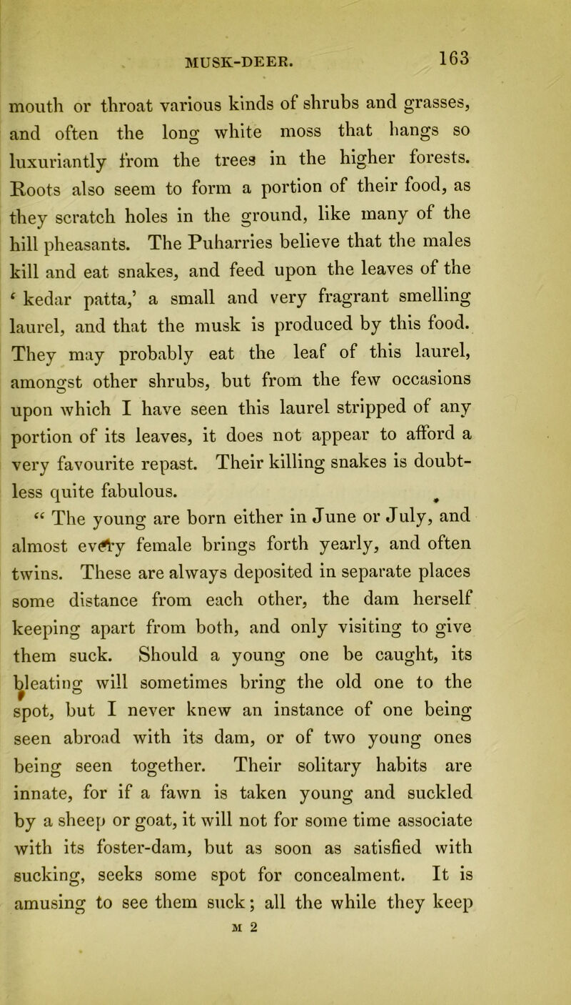 mouth or throat various kinds of shrubs and grasses, and often the long white moss that hangs so luxuriantly from the trees in the higher forests. Roots also seem to form a portion of their food, as they scratch holes in the ground, like many of the hill pheasants. The Puharries believe that the males kill and eat snakes, and feed upon the leaves of the £ kedar patta,’ a small and very fragrant smelling laurel, and that the musk is produced by this food. They may probably eat the leaf of this laurel, amongst other shrubs, but from the few occasions upon which I have seen this laurel stripped of any portion of its leaves, it does not appear to afford a very favourite repast. Their killing snakes is doubt- less quite fabulous. “ The young are born either in June or July, and almost ev<*Vy female brings forth yearly, and often twins. These are always deposited in separate places some distance from each other, the dam herself keeping apart from both, and only visiting to give them suck. Should a young one be caught, its bleating will sometimes bring the old one to the j o o spot, but I never knew an instance of one being seen abroad with its dam, or of two young ones being seen together. Their solitary habits are innate, for if a fawn is taken young and suckled by a sheep or goat, it will not for some time associate with its foster-dam, but as soon as satisfied with sucking, seeks some spot for concealment. It is amusing to see them suck; all the while they keep