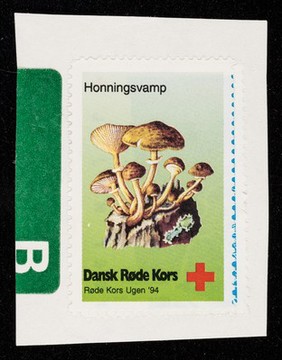 [Stickers showing toadstools (honningsvamp) Sold to raise funds for Danish Red Cross Week. ].