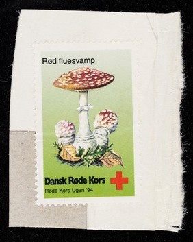 [Stickers showing toadstools (rød fluesvamp). Sold to raise funds for Danish Red Cross Week. ].