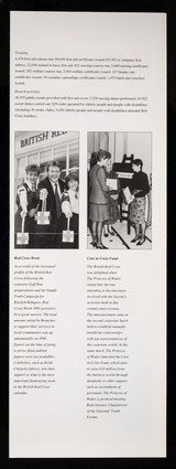 [Leaflet about the international work of the British Red Cross Society].