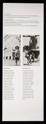 [Leaflet about the international work of the British Red Cross Society].