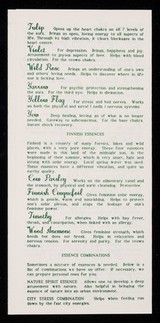 [Leaflet advertising Lord & Lady flower essences (Glastonbury), a form of vibrational healing].