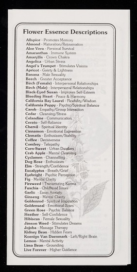 [Leaflet advertising Pegasus Products' flower essences, vibrational remedies on sale at Shambhala in Glastonbury].