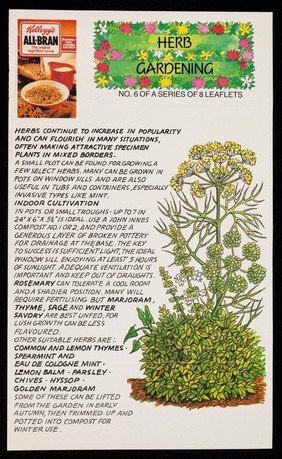 [Leaflet about herb gardening (no.6 in a series of 8) from Kellogg's, also advertising their All-Bran high fibre breakfast cereal].