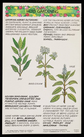 [Leaflet about herb gardening (no.6 in a series of 8) from Kellogg's, also advertising their All-Bran high fibre breakfast cereal].