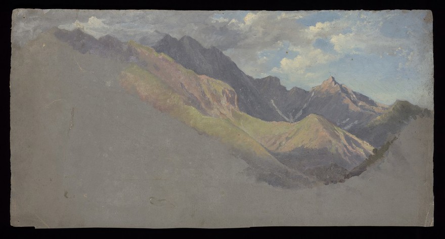Mountains. Oil painting.
