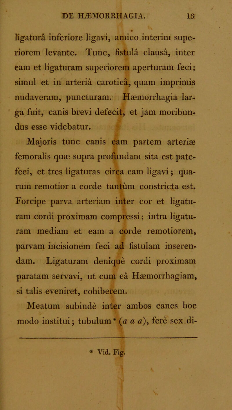 ligatura inferiore ligavi, amico interim supe- riorem levante. Tunc, fistula clausa, inter eam et ligaturam superiorem aperturam feci; simul et in arteria carotica, quam imprimis nudaveram, puncturam. Haemorrhagia lar- ga fuit, canis brevi defecit, et jam moribun- dus esse videbatur. Majoris tunc canis eam partem arteriae femoralis quae supra profundam sita est pate- feci, et tres ligaturas circa eam ligavi; qua- rum remotior a corde tantum constricta est. Forcipe parva arteriam inter cor et ligatu- ram cordi proximam compressi; intra ligatu- ram mediam et eam a corde remotiorem, parvam incisionem feci ad fistulam inseren- dam. Ligaturam denique cordi proximam paratam servavi, ut cum ea Haemorrhagiam, si talis eveniret, cohiberem. Meatum subinde inter ambos canes hoc modo institui; tubulum* (a a «), fere sex di- * Vid. Fig.