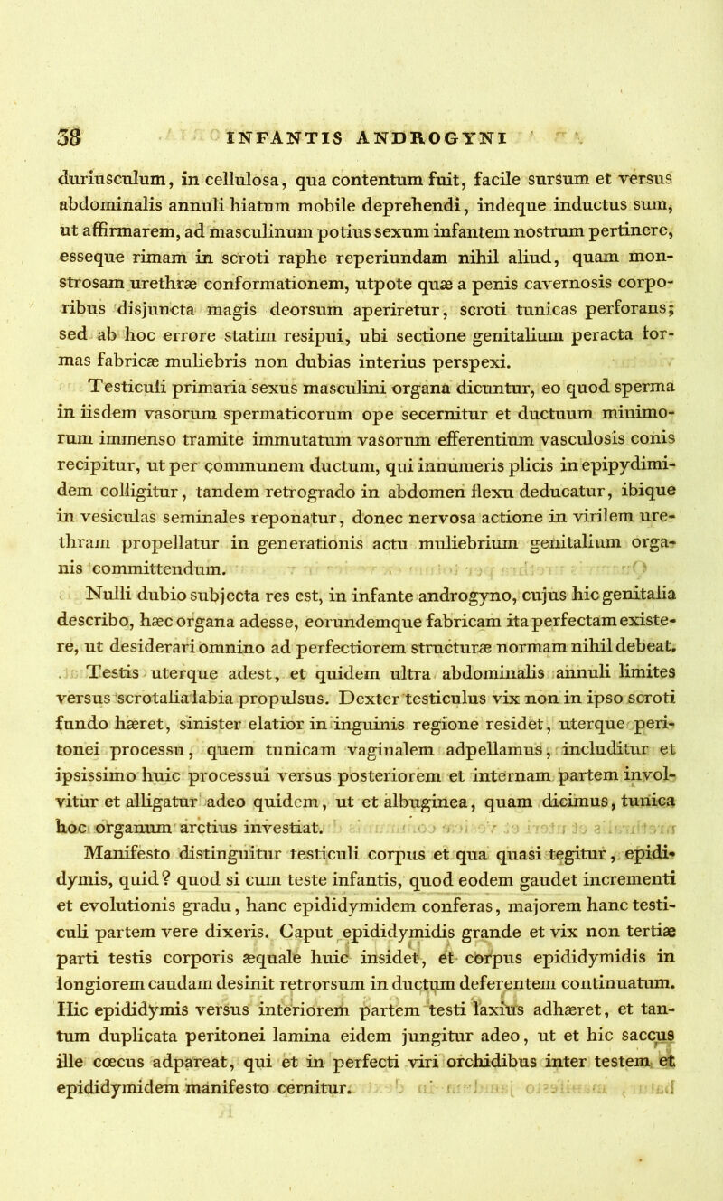 duriusculum, in cellulosa, qua contentum fuit, facile sursum et versus abdominalis annuli hiatum mobile deprehendi, indeque inductus sum, ut affirmarem, ad masculinum potius sexum infantem nostrum pertinere, esseque rimam in scroti raphe reperiundam nihil aliud, quam mon- strosam urethrae conformationem, utpote quae a penis cavernosis corpo- ribus disjuncta magis deorsum aperiretur, scroti tunicas perforans; sed ab hoc errore statim resipui, ubi sectione genitalium peracta for- mas fabricae muliebris non dubias interius perspexi. Testiculi primaria sexus masculini organa dicuntur, eo quod sperma in iisdem vasorum spermaticorum ope secernitur et ductuum minimo- rum immenso tramite immutatum vasorum efferentium vasculosis conis recipitur, ut per communem ductum, qui innumeris plicis in epipydimi- dem colligitur, tandem retrogrado in abdomen flexu deducatur, ibique in vesiculas seminales reponatur, donec nervosa actione in virilem ure- thram propellatur in generationis actu muliebrium genitalium orga- nis committendum. Nulli dubio subjecta res est, in infante androgyno, cujus hic genitalia describo, haec organa adesse, eorundem que fabricam ita perfectam existe- re, ut desiderari omnino ad perfectiorem structurae normam nihil debeat. Testis uterque adest, et quidem ultra abdominalis annuli limites versus scrotalia labia propulsus. Dexter testiculus vix non in ipso scroti fundo haeret, sinister elatior in inguinis regione residet, uterque peri- tonei processu, quem tunicam vaginalem adpellamus, includitur et ipsissimo huic processui versus posteriorem et internam partem invol- vitur et alligatur adeo quidem, ut et albuginea, quam dicimus, tunica hoc organum arctius investiat. Manifesto distinguitur testiculi corpus et qua quasi tegitur, epidi- dymis, quid? quod si cum teste infantis, quod eodem gaudet incrementi et evolutionis gradu, hanc epididymidem conferas, majorem hanc testi- culi partem vere dixeris. Caput epididymidis grande et vix non tertiae parti testis corporis aequale huic insidet, et corpus epididymidis in longiorem caudam desinit retrorsum in ductum deferentem continuatum. Hic epididymis versus interioreih partem testi laxius adhaeret, et tan- tum duplicata peritonei lamina eidem jungitur adeo, ut et hic saccus ille coecus adpareat, qui et in perfecti viri orchidibus inter testem et epididymidem manifesto cernitur.