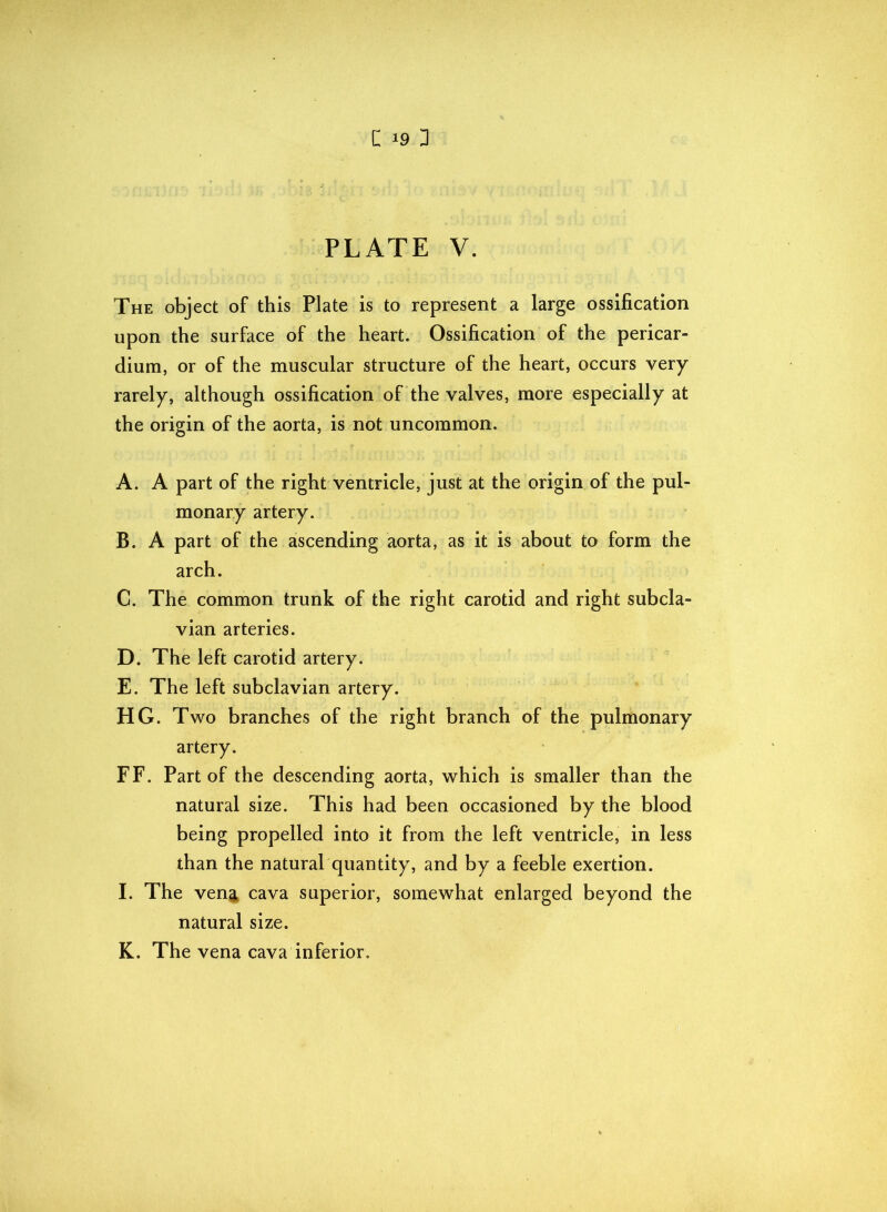 PLATE V. The object of this Plate is to represent a large ossification upon the surface of the heart. Ossification of the pericar- dium, or of the muscular structure of the heart, occurs very rarely, although ossification of the valves, more especially at the origin of the aorta, is not uncommon. A. A part of the right ventricle, just at the origin of the pul- monary artery. B. A part of the ascending aorta, as it is about to form the arch. C. The common trunk of the right carotid and right subcla- vian arteries. D. The left carotid artery. E. The left subclavian artery. HG. Two branches of the right branch of the pulmonary artery. FF. Part of the descending aorta, which is smaller than the natural size. This had been occasioned by the blood being propelled into it from the left ventricle, in less than the natural quantity, and by a feeble exertion. I. The vena cava superior, somewhat enlarged beyond the natural size. K. The vena cava inferior.