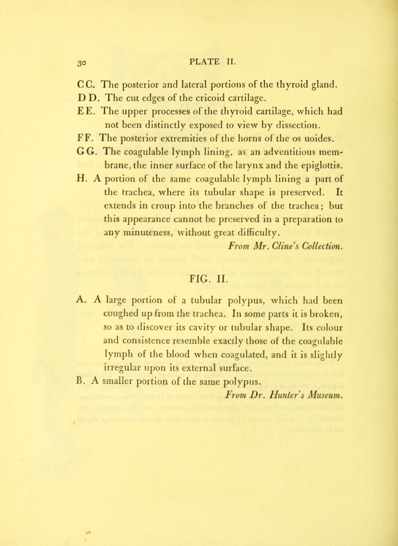 3© CC. The posterior and lateral portions of the thyroid gland. D D. The cut edges of the cricoid cartilage. EE. The upper processes of the thyroid cartilage, which had not been distinctly exposed to view by dissection. FF. The posterior extremities of the horns of the os uoides. GG. The coagulable lymph lining, as an adventitious mem- brane, the inner surface of the larynx and the epiglottis. H. A portion of the same coagulable lymph lining a part of the trachea, where its tubular shape is preserved. It extends in croup into the branches of the trachea; but this appearance cannot be preserved in a preparation to any minuteness, without great difficulty. From Mr. Cline's Collection. FIG. II. A. A large portion of a tubular polypus, which had been coughed up from the trachea. In some parts it is broken, so as to discover its cavity or tubular shape. Its colour and consistence resemble exactly those of the coagulable lymph of the blood when coagulated, and it is slightly irregular upon its external surface. B. A smaller portion of the same polypus. From Dr. Hunter s Museum.