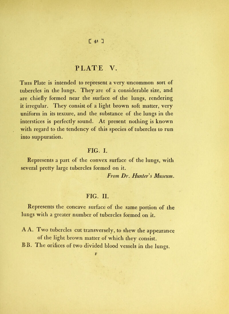 C 40 PLATE V. This Plate is intended to represent a very uncommon sort of tubercles in the lungs. They are of a considerable size, and are chiefly formed near the surface of the lungs, rendering it irregular. They consist of a light brown soft matter, very uniform in its texture, and the substance of the lungs in the interstices is perfectly sound. At present nothing is known with regard to the tendency of this species of tubercles to run into suppuration. FIG. I. i Represents a part of the convex surface of the lungs, with several pretty large tubercles formed on it. From Dr. Hunters Museum. FIG. II. Represents the concave surface of the same portion of the lungs with a greater number of tubercles formed on it. A A. Two tubercles cut transversely, to shew the appearance of the light brown matter of which they consist. BB. The orifices of two divided blood vessels in the lungs. F