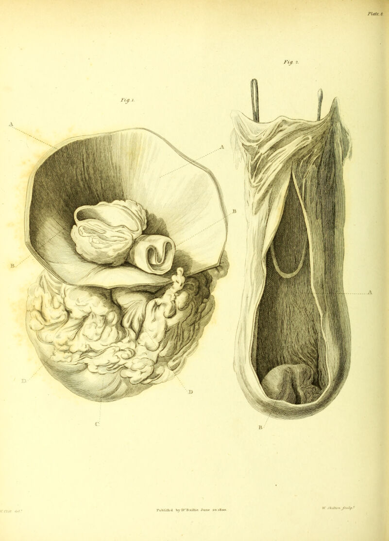 Fit). 2. V. Clift dr l t PuWilhd by DrB«LLUie. June 201800. W. Skelton fculf) '