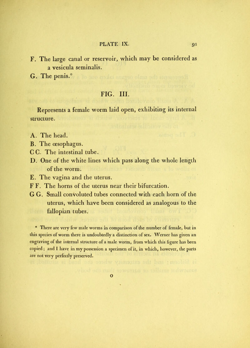 F. The large canal or reservoir, which may be considered as a vesicula seminalis. G. The penis.* FIG. III. Represents a female worm laid open, exhibiting its internal structure. A. The head. B. The oesophagus. CC. The intestinal tube. D. One of the white lines which pass along the whole length of the worm. E. The vagina and the uterus. F F. The horns of the uterus near their bifurcation. G G. Small convoluted tubes connected with each horn of the uterus, which have been considered as analogous to the fallopian tubes. * There are very few male worms in comparison of the number of female, but in this species of worm there is undoubtedly a distinction of sex. Werner has given an engraving of the internal structure of a male worm, from which this figure has been copied ; and I have in my possession a specimen of it, in which, however, the parts are not very perfectly preserved.