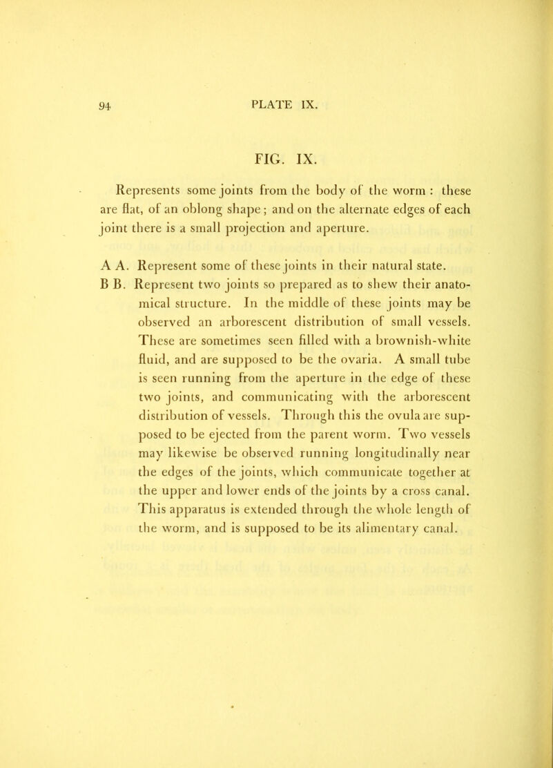 FIG. IX. Represents some joints from the body of the worm : these are flat, of an oblong shape; and on the alternate edges of each joint there is a small projection and aperture. A A. Represent some of these joints in their natural state. B B. Represent two joints so prepared as to shew their anato- mical structure. In the middle of these joints may be observed an arborescent distribution of small vessels. These are sometimes seen filled with a brownish-white fluid, and are supposed to be the ovaria. A small tube is seen running from the aperture in the edge of these two joints, and communicating with the arborescent distribution of vessels. Through this the ovulaare sup- posed to be ejected from the parent worm. Two vessels may likewise be observed running longitudinally near the edges of the joints, which communicate together at the upper and lower ends of the joints by a cross canal. This apparatus is extended through the whole length of the worm, and is supposed to be its alimentary canal.