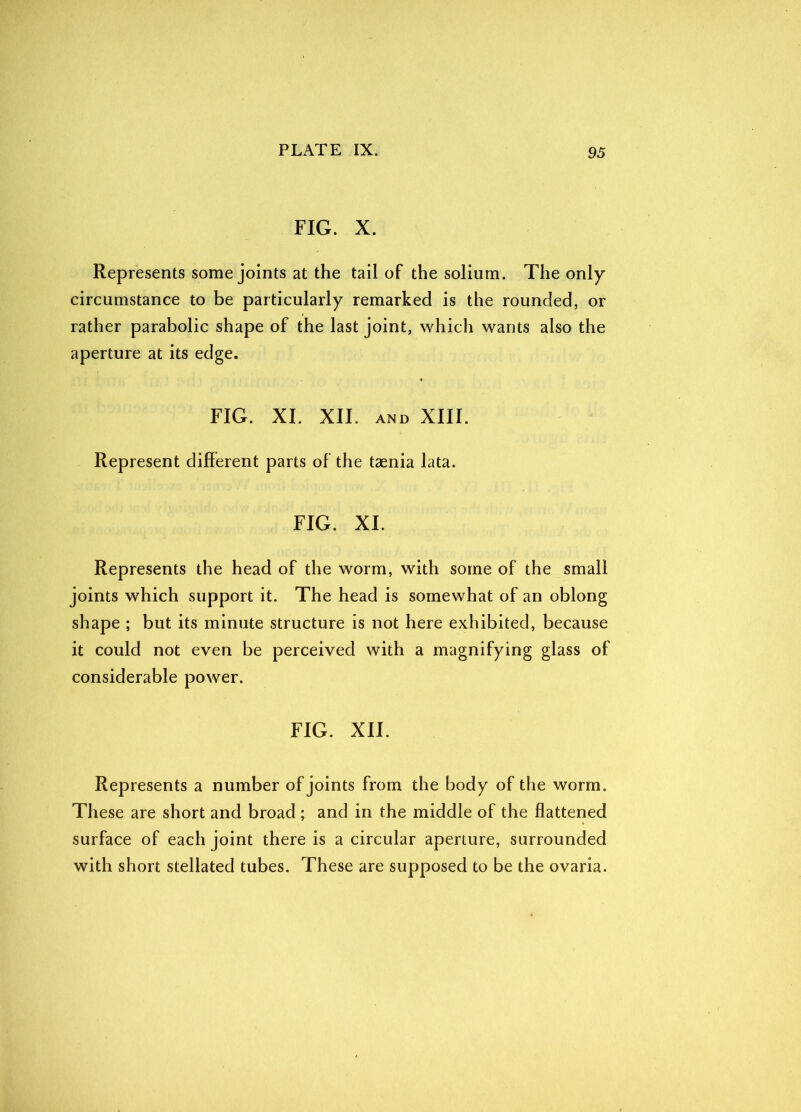 FIG. X. Represents some joints at the tail of the solium. The only circumstance to be particularly remarked is the rounded, or rather parabolic shape of the last joint, which wants also the aperture at its edge. FIG. XI. XII. AND XIII. Represent different parts of the taenia lata. FIG. XI. Represents the head of the worm, with some of the small joints which support it. The head is somewhat of an oblong shape ; but its minute structure is not here exhibited, because it could not even be perceived with a magnifying glass of considerable power. FIG. XII. Represents a number of joints from the body of the worm. These are short and broad ; and in the middle of the flattened surface of each joint there is a circular aperture, surrounded with short stellated tubes. These are supposed to be the ovaria.