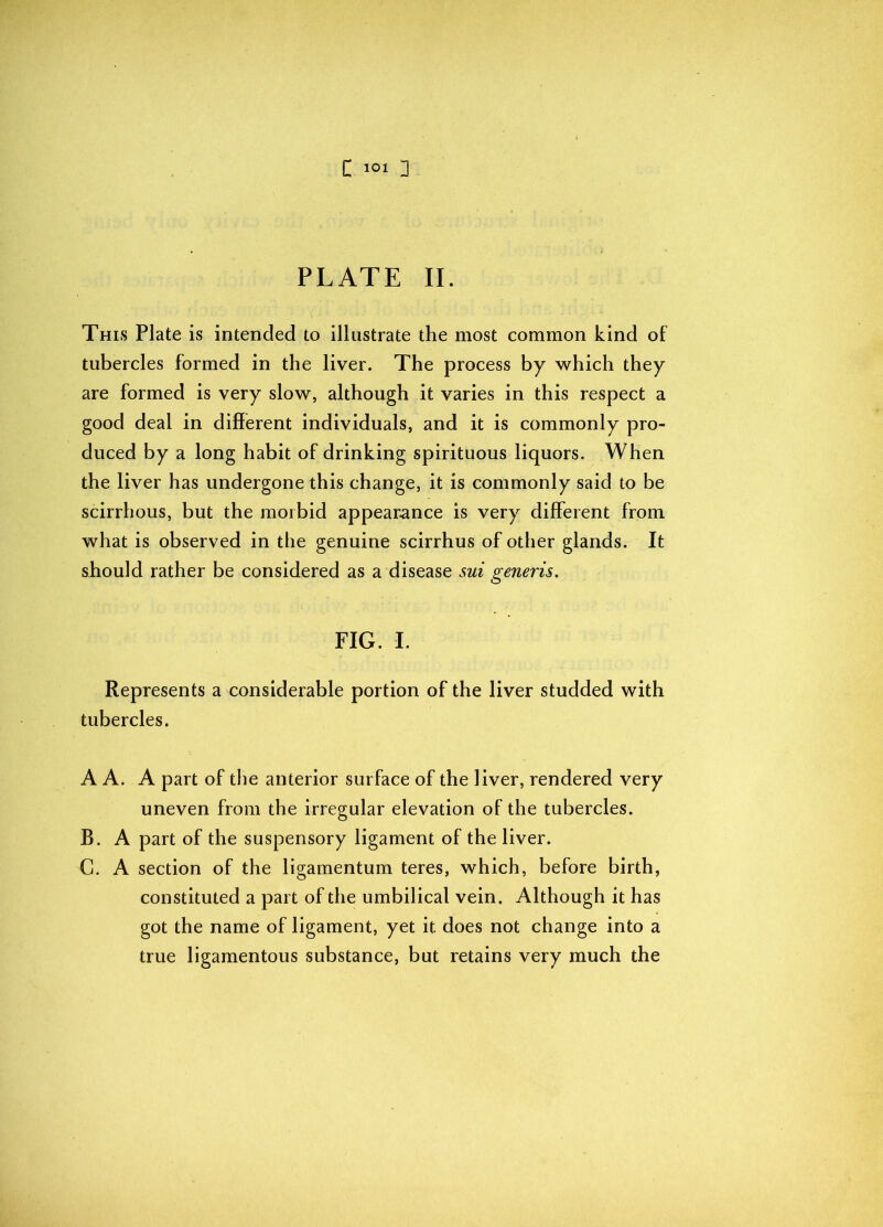 PLATE II. This Plate is intended to illustrate the most common kind of tubercles formed in the liver. The process by which they are formed is very slow, although it varies in this respect a good deal in different individuals, and it is commonly pro- duced by a long habit of drinking spirituous liquors. When the liver has undergone this change, it is commonly said to be scirrhous, but the morbid appearance is very different from what is observed in the genuine scirrhus of other glands. It should rather be considered as a disease sui generis. FIG. I. Represents a considerable portion of the liver studded with tubercles. A A. A part of the anterior surface of the liver, rendered very uneven from the irregular elevation of the tubercles. B. A part of the suspensory ligament of the liver. G. A section of the ligamentum teres, which, before birth, constituted a part of the umbilical vein. Although it has got the name of ligament, yet it does not change into a true ligamentous substance, but retains very much the