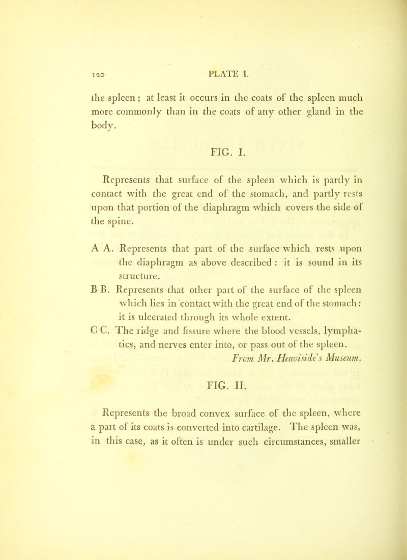 the spleen; at least it occurs in the coats of the spleen much more commonly than in the coats of any other gland in the FIG. I. Represents that surface of the spleen which is partly in contact with the great end of the stomach, and partly rests upon that portion of the diaphragm which covers the side of the spine. A A. Represents that part of the surface which rests upon the diaphragm as above described : it is sound in its structure. B B. Represents that other part of the surface of the spleen which lies in contact with the great end of the stomach: it is ulcerated through its whole extent. G C. The ridge and fissure where the blood vessels, lympha- tics, and nerves enter into, or pass out of the spleen. F? 'om Mr. Heaviside s Museum. FIG. II. Represents the broad convex surface of the spleen, where a part of its coats is converted into cartilage. The spleen was, in this case, as it often is under such circumstances, smaller