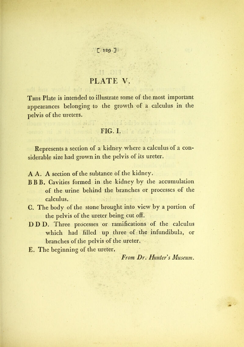 PLATE V. This Plate is intended to illustrate some of the most important appearances belonging to the growth of a calculus in the pelvis of the ureters. FIG. I. Represents a section of a kidney where a calculus of a con- siderable size had grown in the pelvis of its ureter. A A. A section of the subtance of the kidney. BBB. Cavities formed in the kidney by the accumulation of the urine behind the branches or processes of the calculus. C. The body of the stone brought into view by a portion of the pelvis of the ureter being cut off . D D D. Three processes or ramifications of the calculus which had filled up three of the infundibula, or branches of the pelvis of the ureter. E. The beginning of the ureter.