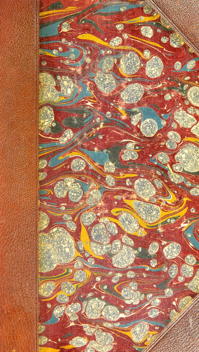 No text description is available for this image