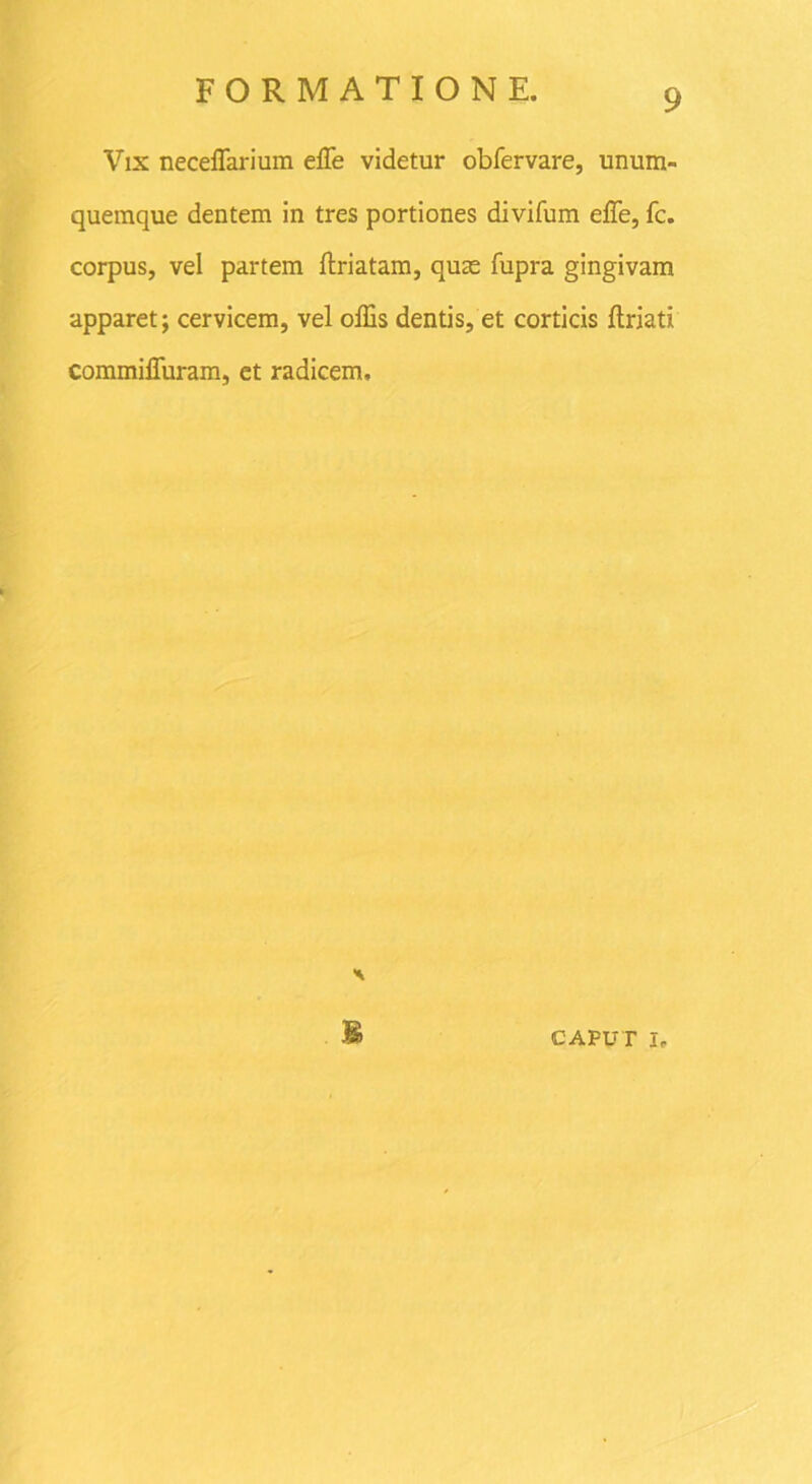 Vix neceffarium effe videtur obfervare, unum- quemque dentem in tres portiones divifum effe, fc. corpus, vel partem ftriatam, quas fupra gingivam apparet; cervicem, vel offis dentis, et corticis ftriati commiffuram, et radicem. caput i.