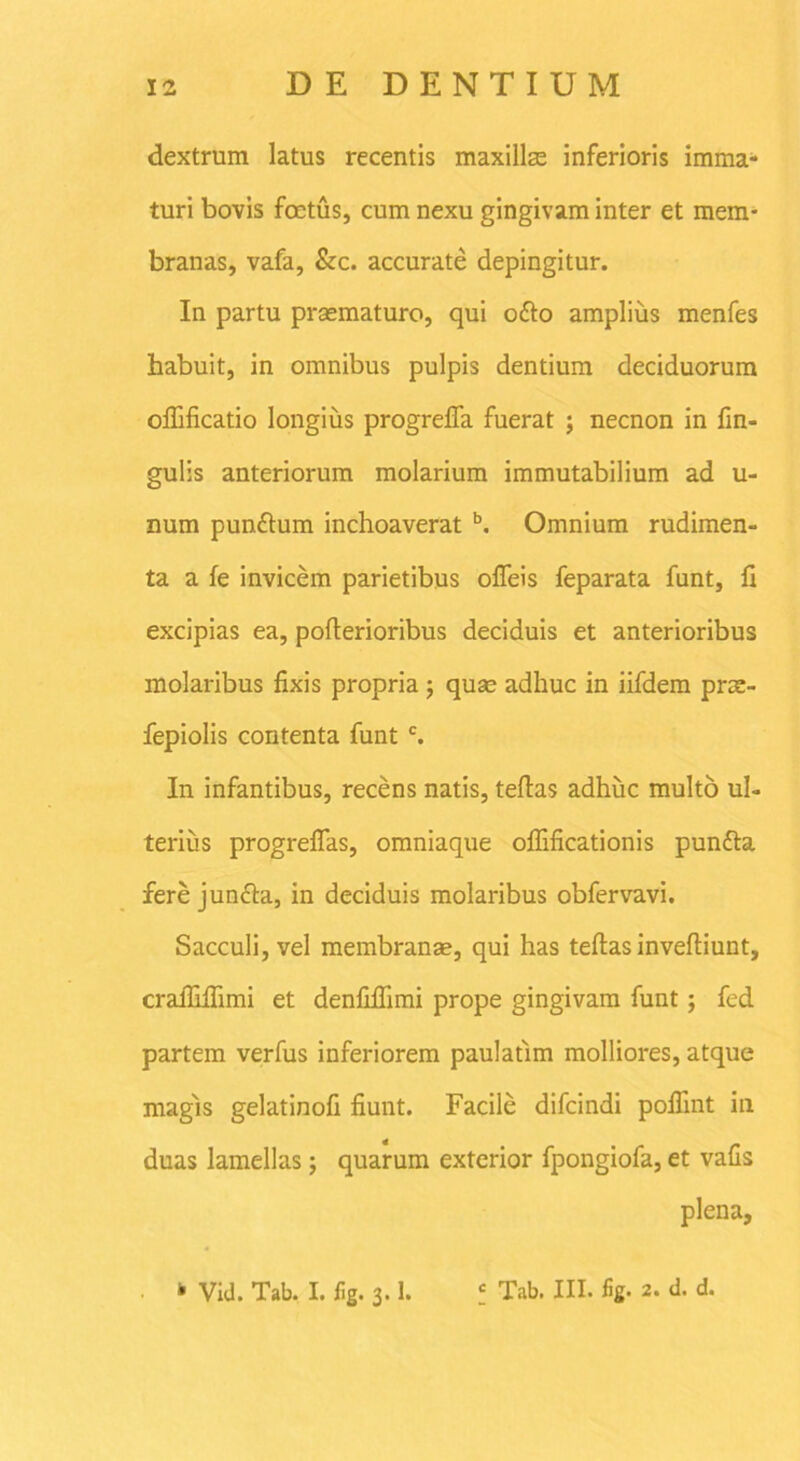 dextrum latus recentis maxillae inferioris imma- turi bovis foetus, cum nexu gingivam inter et mem- branas, vafa, &c. accurate depingitur. In partu praematuro, qui o£to amplius menfes habuit, in omnibus pulpis dentium deciduorum ofiificatio longius progrefla fuerat ; necnon in fin- gulis anteriorum molarium immutabilium ad u- num pun&um inchoaverat b. Omnium rudimen- ta a fe invicem parietibus ofleis feparata funt, fi excipias ea, pofterioribus deciduis et anterioribus molaribus fixis propria ; quae adhuc in iifdem prae- fepiolis contenta funt c. In infantibus, recens natis, tellas adhuc multo ul- terius progrefifas, omniaque offificationis puntta fere jun&a, in deciduis molaribus obfervavi. Sacculi, vel membranae, qui has teftas inveftiunt, cralfiffimi et denfifiimi prope gingivam funt ; fed partem verfus inferiorem paulatim molliores, atque magis gelatinofi fiunt. Facile difcindi polfint in duas lamellas; quarum exterior fpongiofa, et vafis plena.