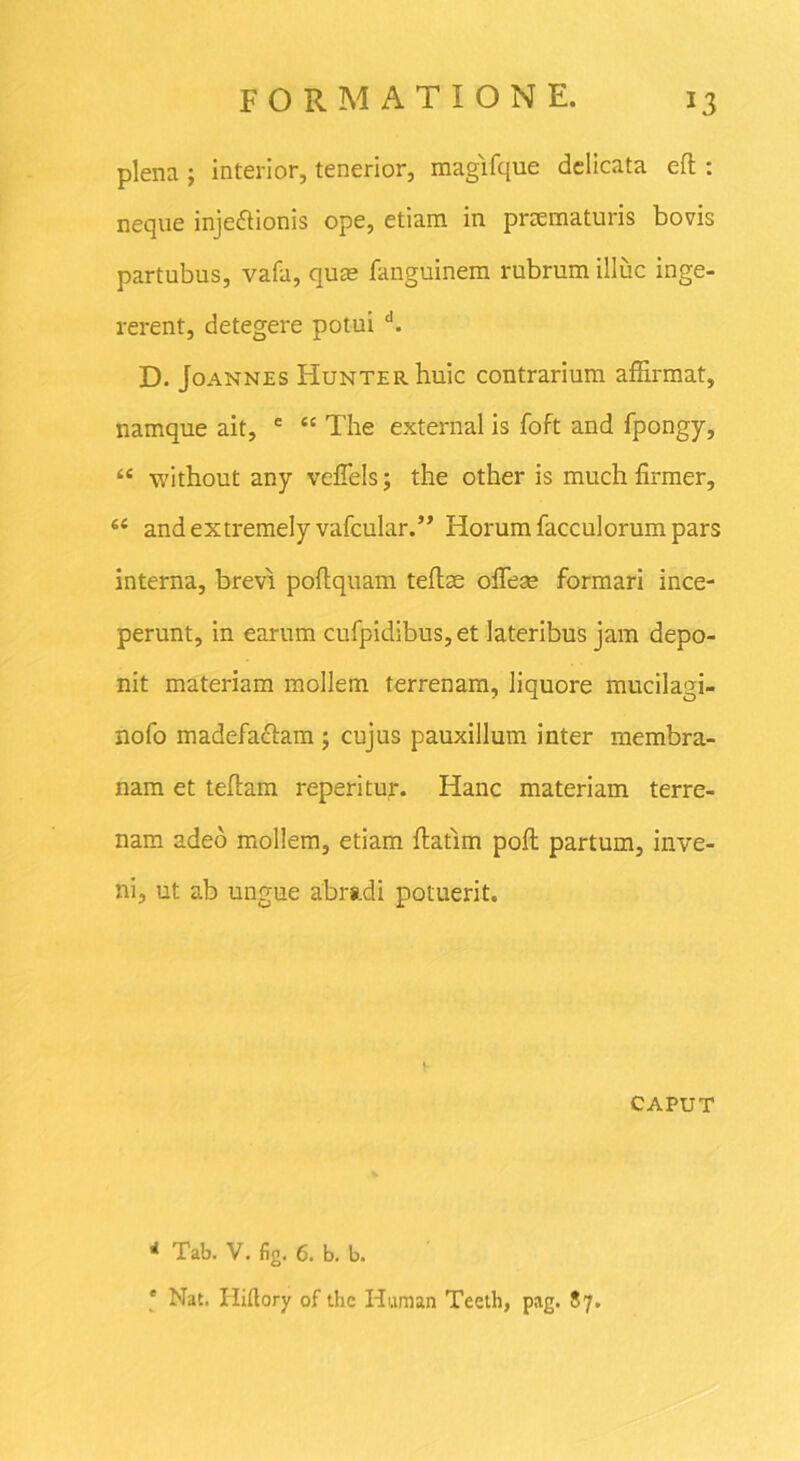 plena ; interior, tenerior, magifque delicata eft: neque inje&ionis ope, etiam in praematuris bovis partubus, vafa, quae fanguinem rubrum illuc inge- rerent, detegere potui d. D. Joannes HuNTERhuic contrarium affirmat, namque ait, e “ The external is foft and fpongy, “ without any veffels; the other is much firmer, 6( andextremely vafcular.” Horum facculorum pars interna, brevi poflquam teflae olleae formari ince- perunt, in earum cufpidibus,et lateribus jam depo- nit materiam mollem terrenam, liquore mucilagi- nofo madefaftam ; cujus pauxillum inter membra- nam et teflam reperitur. Hanc materiam terre- nam adeo mollem, etiam ftatim pofi; partum, inve- ni, ut ab ungue abradi potuerit. CAPUT * Tab. V. fig. 6. b. b. * Nat. Hiftory of thc Human Teeth, pag. 87.