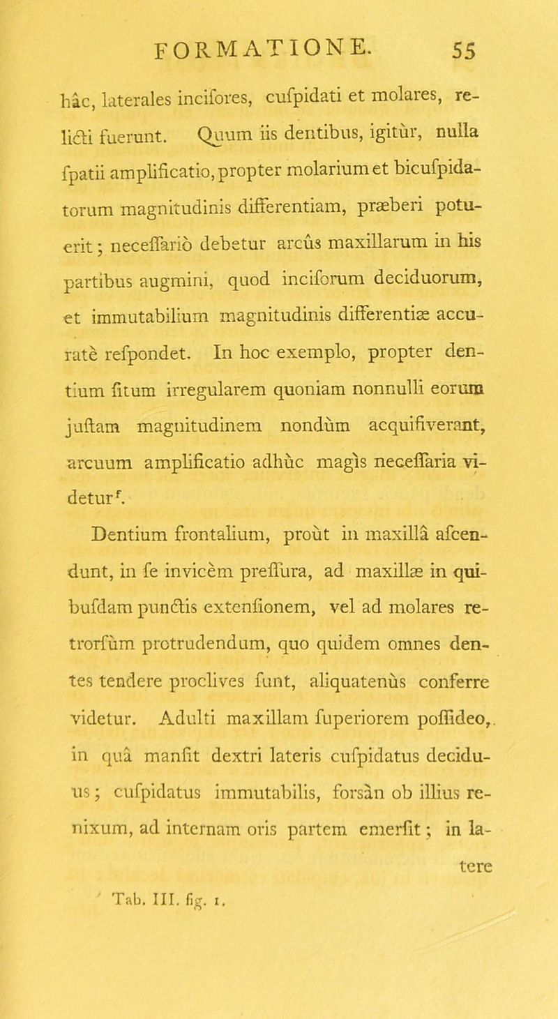 hac, laterales incifores, cufpidati et molares, re- lidli fuerunt. Quum iis dentibus, igitur, nulla fpatii amplificatio, propter molarium et bicufpida- torum magnitudinis differentiam, praeberi potu- erit ; neceffario debetur arcus maxillarum in his partibus augmini, quod inciforum deciduorum, et immutabilium magnitudinis differentiae accu- rate refpondet. In hoc exemplo, propter den- tium fitum irregularem quoniam nonnulli eorum juflam magnitudinem nondum acquifiverant, arcuum amplificatio adhuc magis neceffaria vi- deturf. Dentium frontalium, prout in maxilla afcen- dunt, in fe invicem preffura, ad maxillas in qui- bufdam pundlis extenfionem, vel ad molares re- trorfum protrudendum, quo quidem omnes den- tes tendere proclives funt, aliquatenus conferre videtur. Adulti maxillam fuperiorem poffideo, in qua manfit dextri lateris cufpidatus decidu- us ; cufpidatus immutabilis, forsan ob illius re- nixum, ad internam oris partem emerfit; in la- tere ' Tab. III. fig. i.