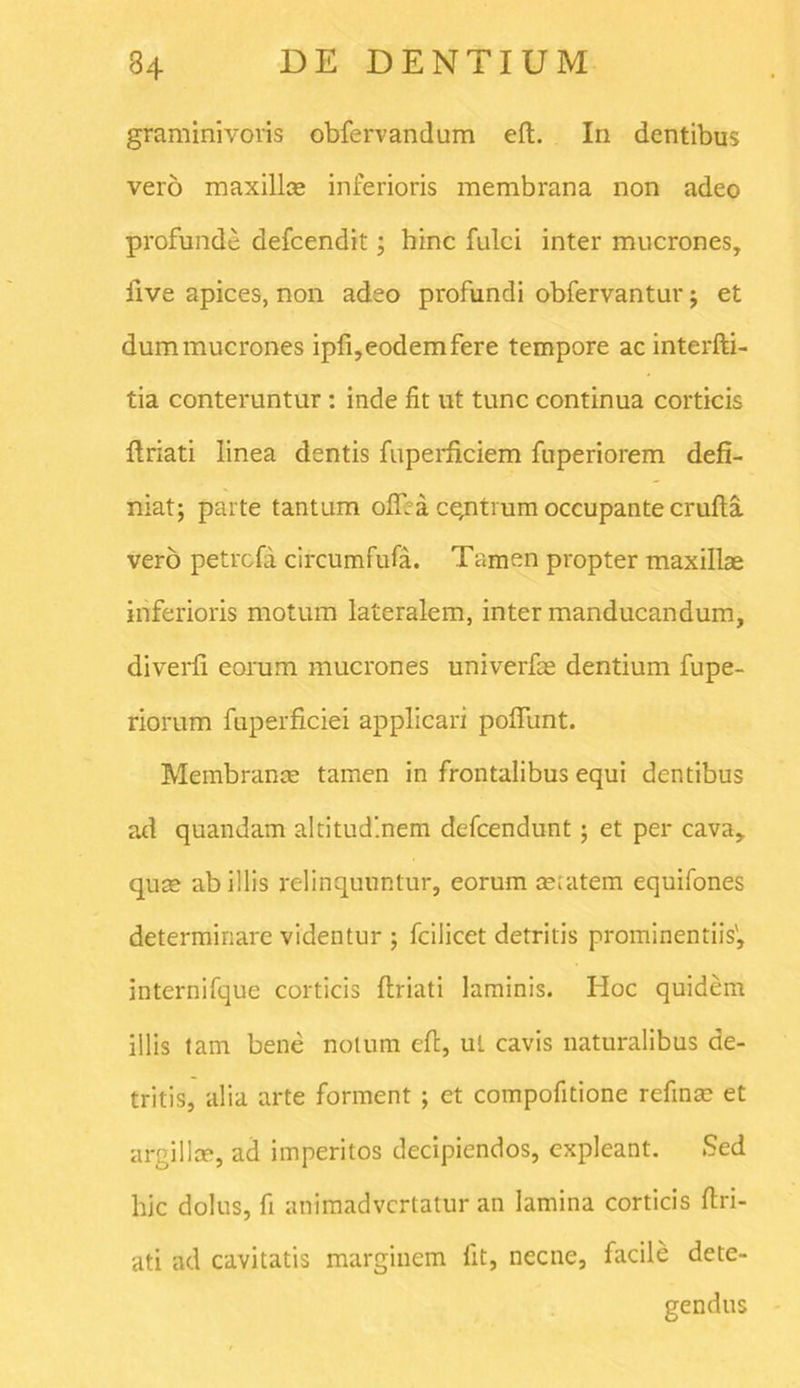 graminivoris obfervandum eft. In dentibus vero maxillae inferioris membrana non adeo profunde defcendit; hinc fulci inter mucrones, five apices, non adeo profundi obfervantur ; et dum mucrones ipfi,eodem fere tempore ac interfti- tia conteruntur: inde fit ut tunc continua corticis ftriati linea dentis fuperficiem fuperiorem defi- niat; parte tantum o±Ea ceptium occupante crufta vero petrcfa circumfufa. Tamen propter maxillae inferioris motum lateralem, inter manducandum, diverfi eorum mucrones univerfae dentium fupe- riorum fuperficiei applicari poliunt. Membranee tamen in frontalibus equi dentibus ad quandam altitudinem defeendunt ; et per cava, quae ab illis relinquuntur, eorum aetatem equifones determinare videntur ; fcilicet detritis prominentiis', internifque corticis flriati laminis. Hoc quidem illis tam bene notum efi, ul cavis naturalibus de- tritis, alia arte forment ; et compofitione refinae et argillae, ad imperitos decipiendos, expleant. Sed lfic dolus, fi animadvertatur an lamina corticis flri- ati ad cavitatis marginem fit, necne, facile dete-