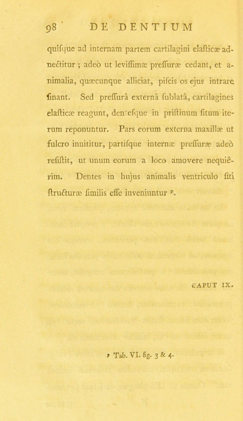 quifque ad internam partem cartilagini elafticae ad- neftitur ; adeo ut leviflimas preffurae cedant, et a- nimalia, qucecunque alliciat, pifcis os ejus intrare finant. Sed preflura externa fublata, carlilagines elafticae reagunt, dentefque in priftinum fitum ite- rum reponuntur. Pars eorum externa maxillae ut fulcro innititur, partifque internae preffurae adeo refiftit, ut unum eorum a loco amovere nequie- rim. Dentes in hujus animalis ventriculo liti ftru&urae fimilis' elfe inveniuntur p. GAPUT IX,