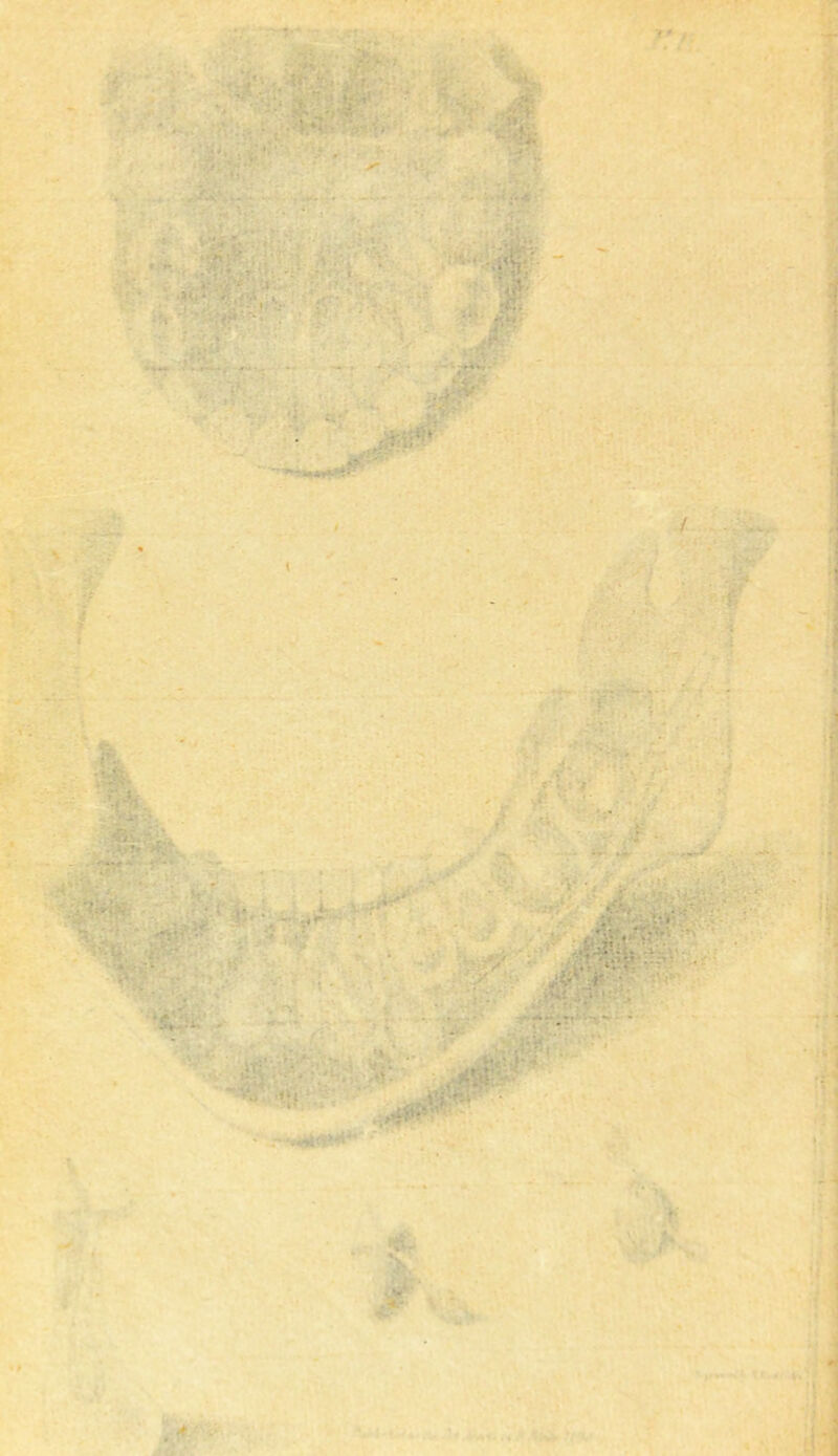 -A.S ■ & .... . •V ' ^ ■ I . ^ '