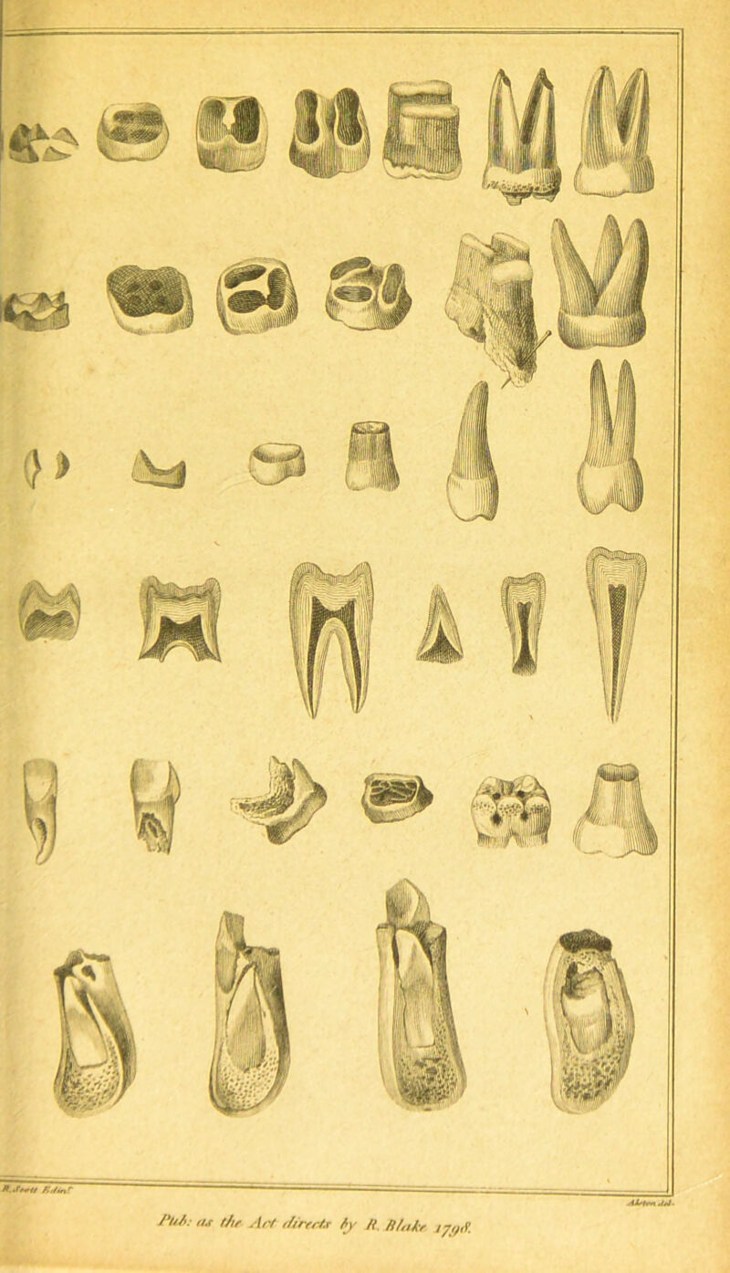 PuA: n.t i/ir Act directo fy /i JUaitr 171)1?. Aletm.lt! ■