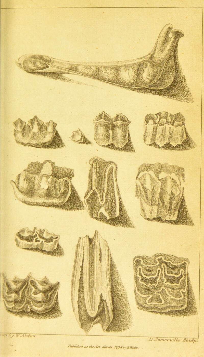 u. ^nmorvUle, Strufi Pnbh.r/uui n.t t/ir. id din*to J]f?<9h ILBlakr .