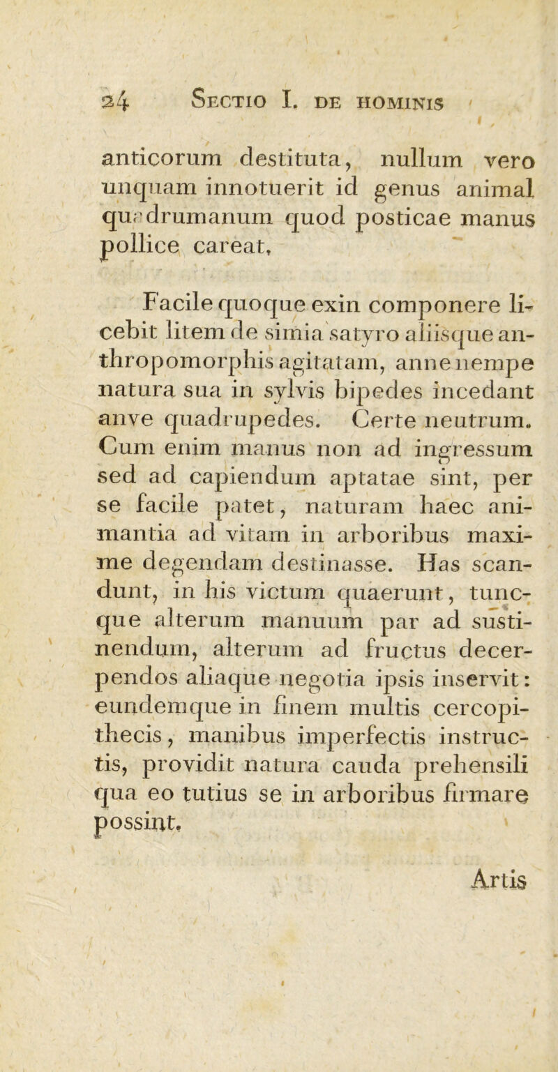 anticorum destituta, nullum vero unquam innotuerit id genus animal quadrumanum quod posticae manus pollice careat. Facile quoque exin componere li- cebit litem de simia satyro aliisque an- thropomorphis agitatam, anne nempe natura sua in sylvis bipedes incedant anve quadrupedes. Certe neutrum. Cum enim manus non ad ingressum sed ad capiendum aptatae sint, per se facile patet, naturam haec ani- mantia ad vitam in arboribus maxi- me degendam destinasse. Has scan- dunt, in his victum quaerunt, tunc- que alterum manuum par ad susti- nendum, alterum ad fructus decer- pendos aliaque negotia ipsis inservit: eundem que in finem multis cercopi- thecis , manibus imperfectis instruc- tis, providit natura cauda prehensili qua eo tutius se in arboribus firmare possint. Artis